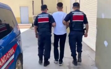 orman yangını