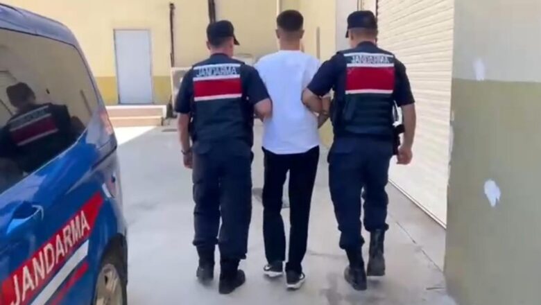 orman yangını
