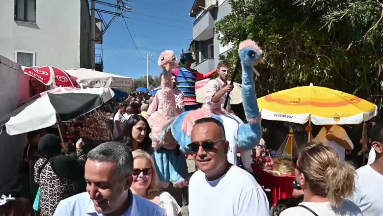Kavacık Üzüm